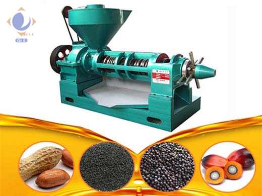 آلة معالجة زيت فاكهة النخيل بقدرة 1-50 طنًا في اليوم في ليبيا | الشركة المصنعة لآلة ...